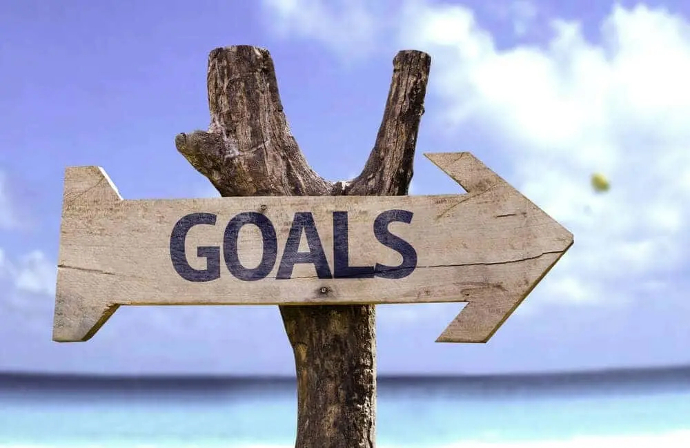 Tell Us about your Organizational Goals